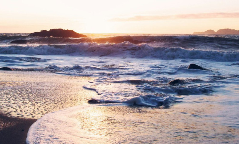 plage-des-conches.jpg