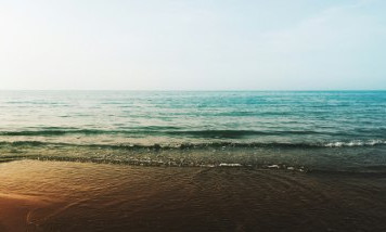 plage-des-demoiselles-vendee.jpg