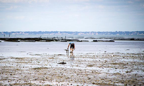 noirmoutier.jpg