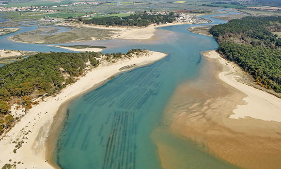 plage-paradis.jpg