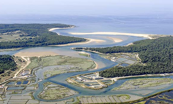 camping-paradis-plage-en-vendée.jpg