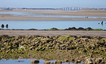 cta-Pont_de_Noirmoutier.jpg